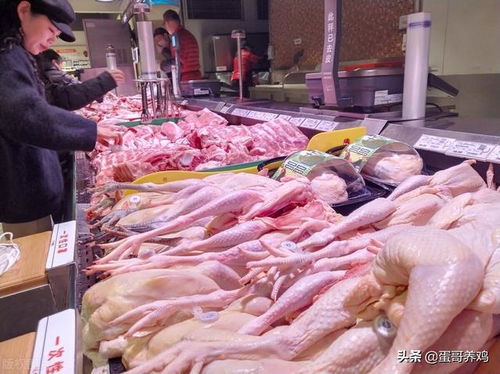 广东一例人感染H5N6 还能放心吃鸡吗 养户要遭殃 专家发话
